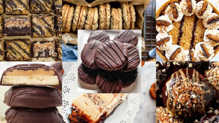 Baking Nostalgia: 22 Must-Try Copy-Cat Recipes of Girl Scout Classics