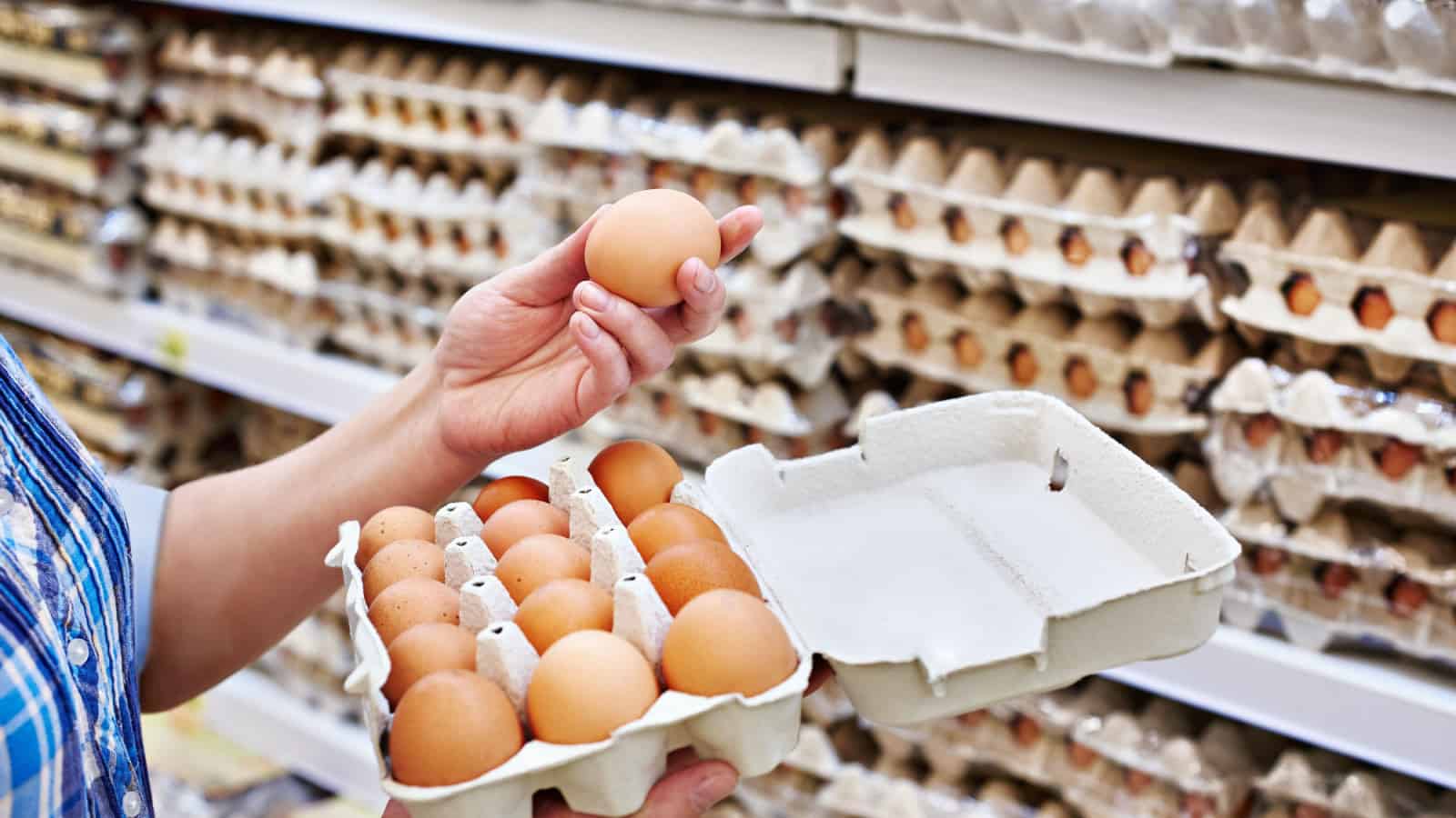 Person shopping for eggs. Egg cartons. Supermarket.