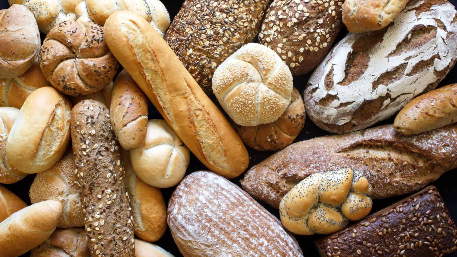 Assorted artisanal bread.