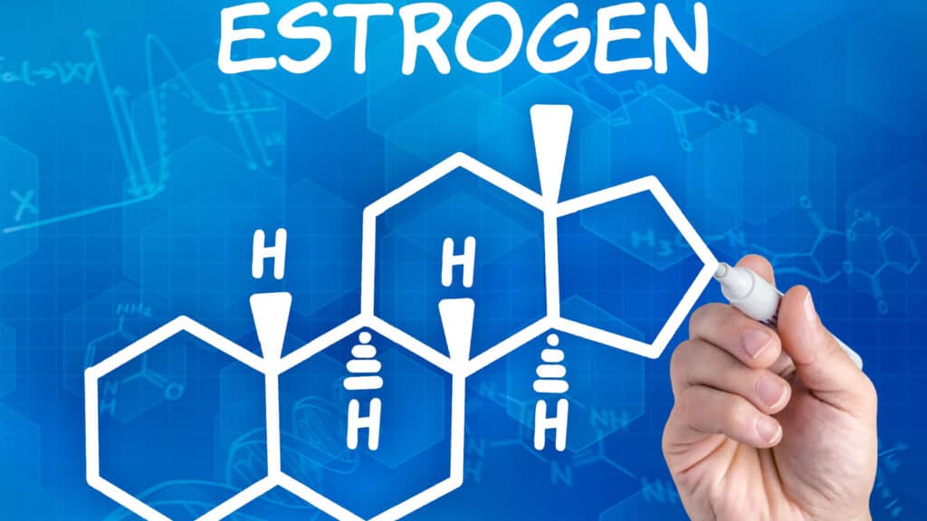 Chemical representation of estrogen.