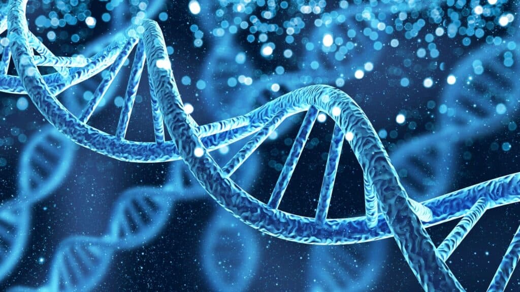 DNA.