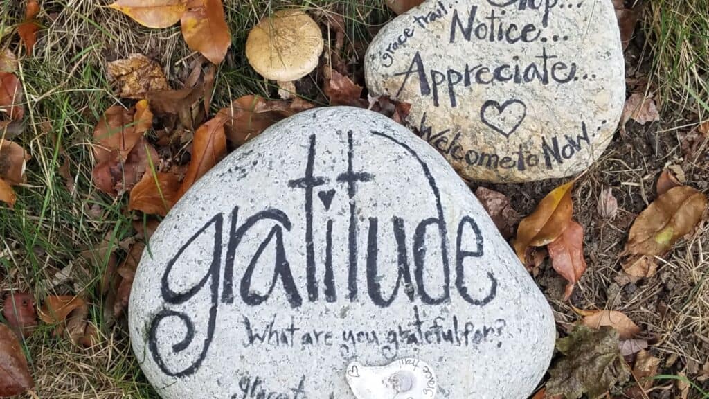 Gratitude. Being grateful.