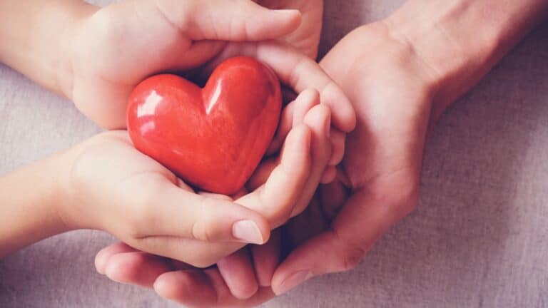 Hands holding a heart. Giving. Philanthropy.
