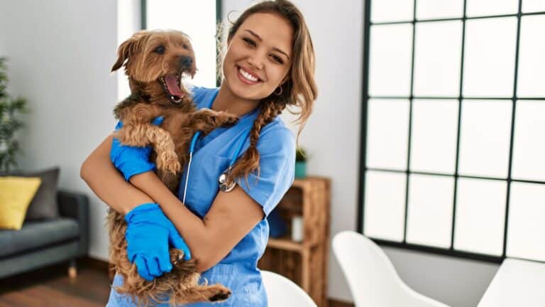 Understanding the Surge in Veterinary Costs: Is It Becoming Too Expensive To Have A Pet?