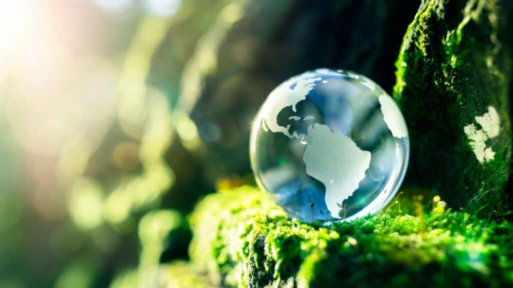 globe concept on moss. 