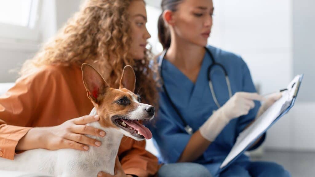 woman and dog with female vet. 
