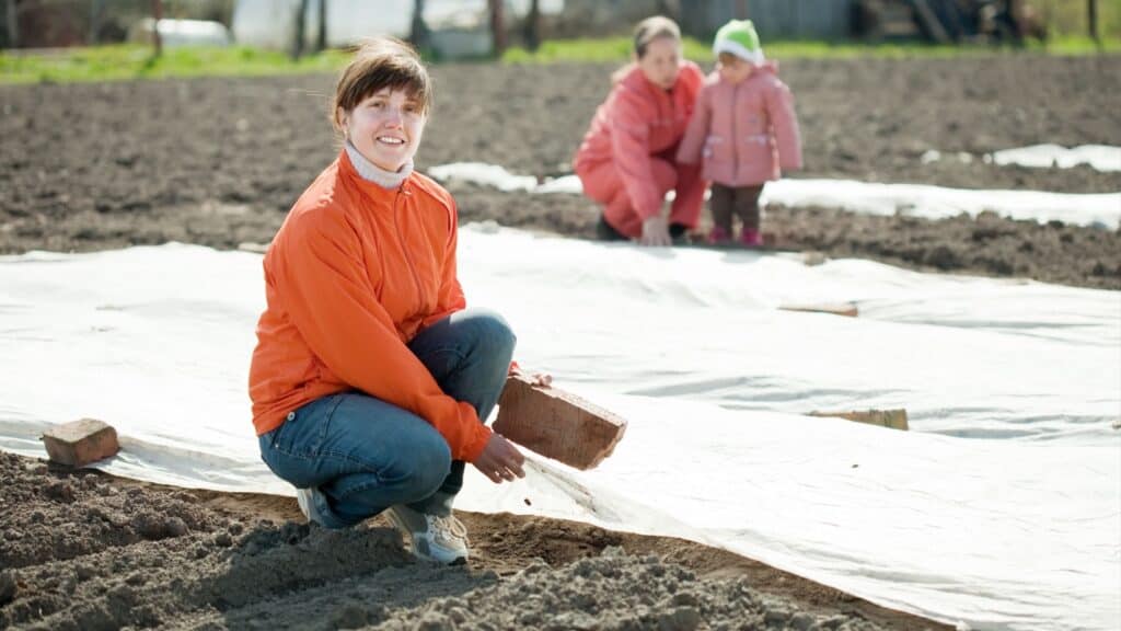 Covering garden with plastic.