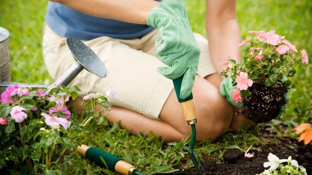 Woman gardening. 