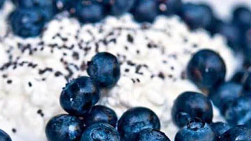 clean-eating-blueberry-cottage-cheese-v-.