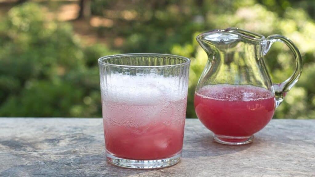 rhubarb-ginger-syrup-in-glass-topped-with-sparkling-water.