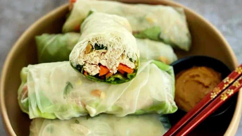 spring-rolls-on-a-plate-with-peanut-sauce-1.