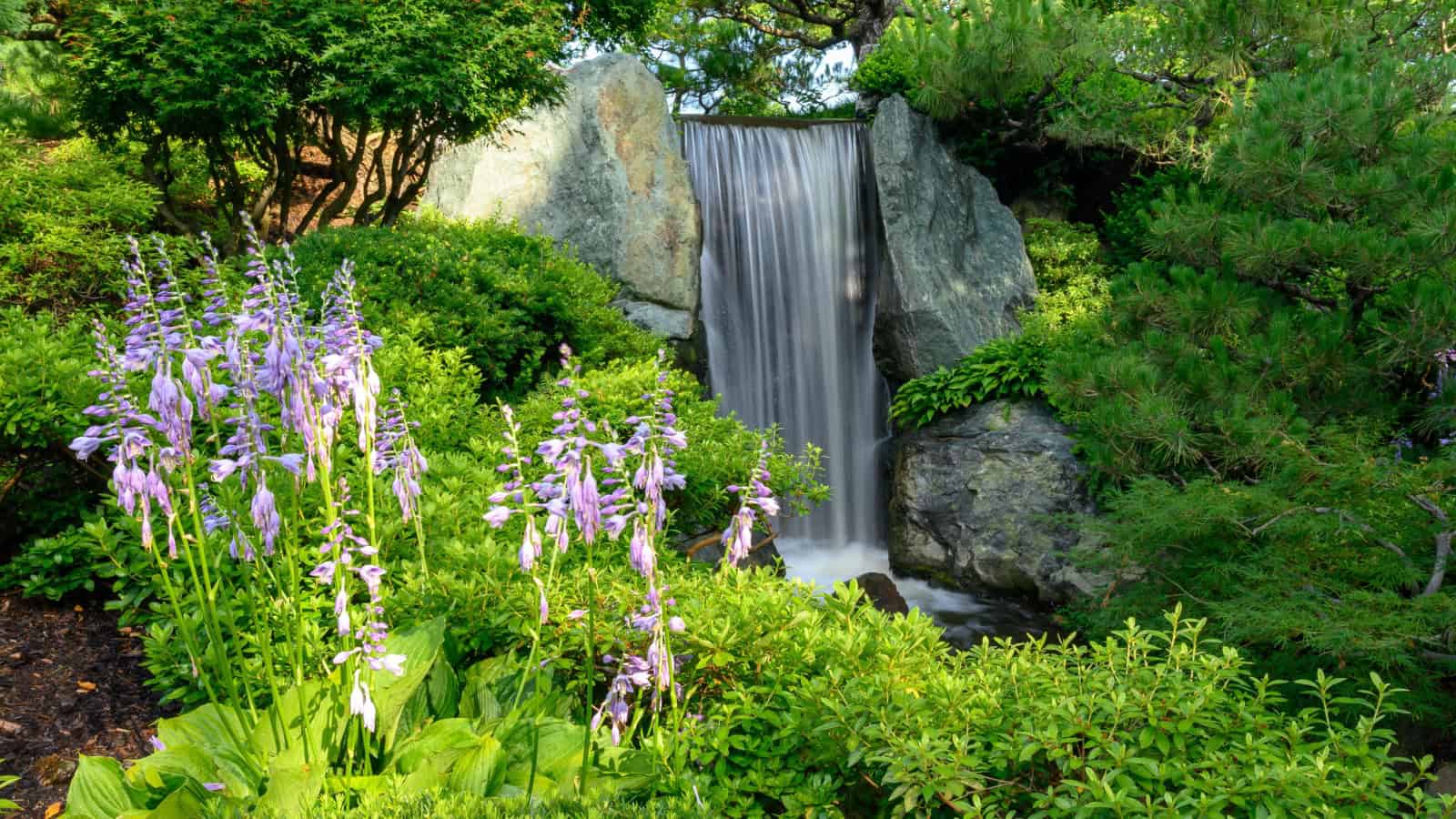 Missouri garden.