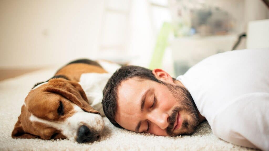 man napping with dog