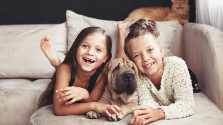Shar pei and kids.
