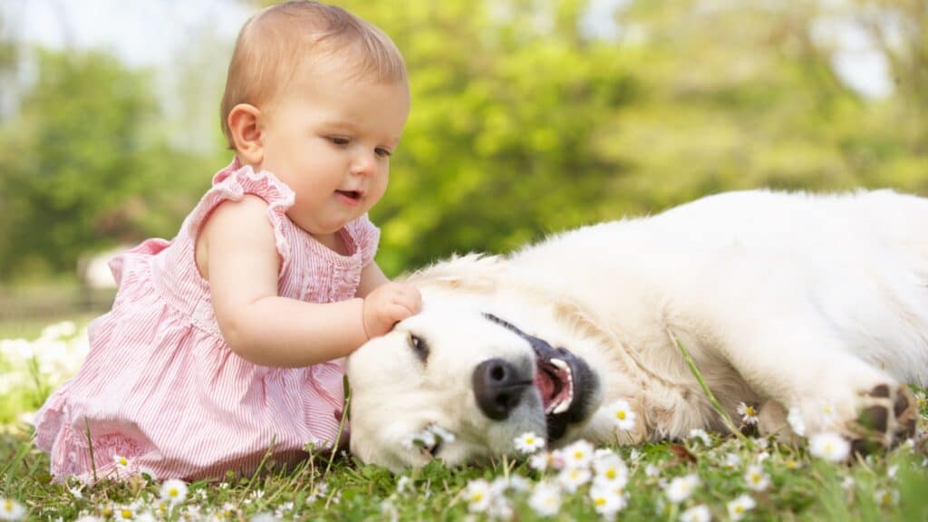 baby girl and dog in yard.