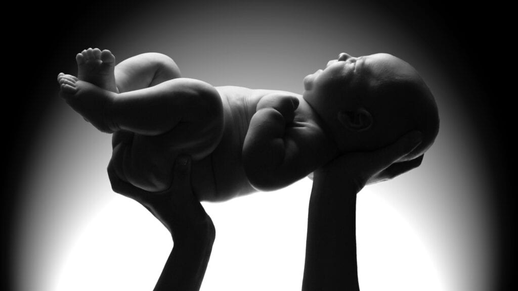 newborn baby.