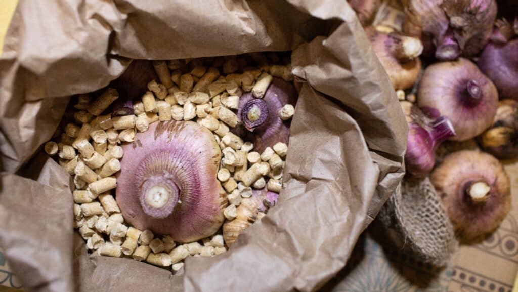 Bulb storage.