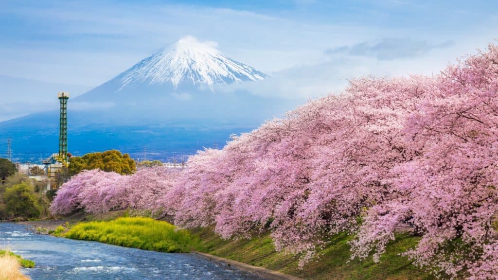 Japan.