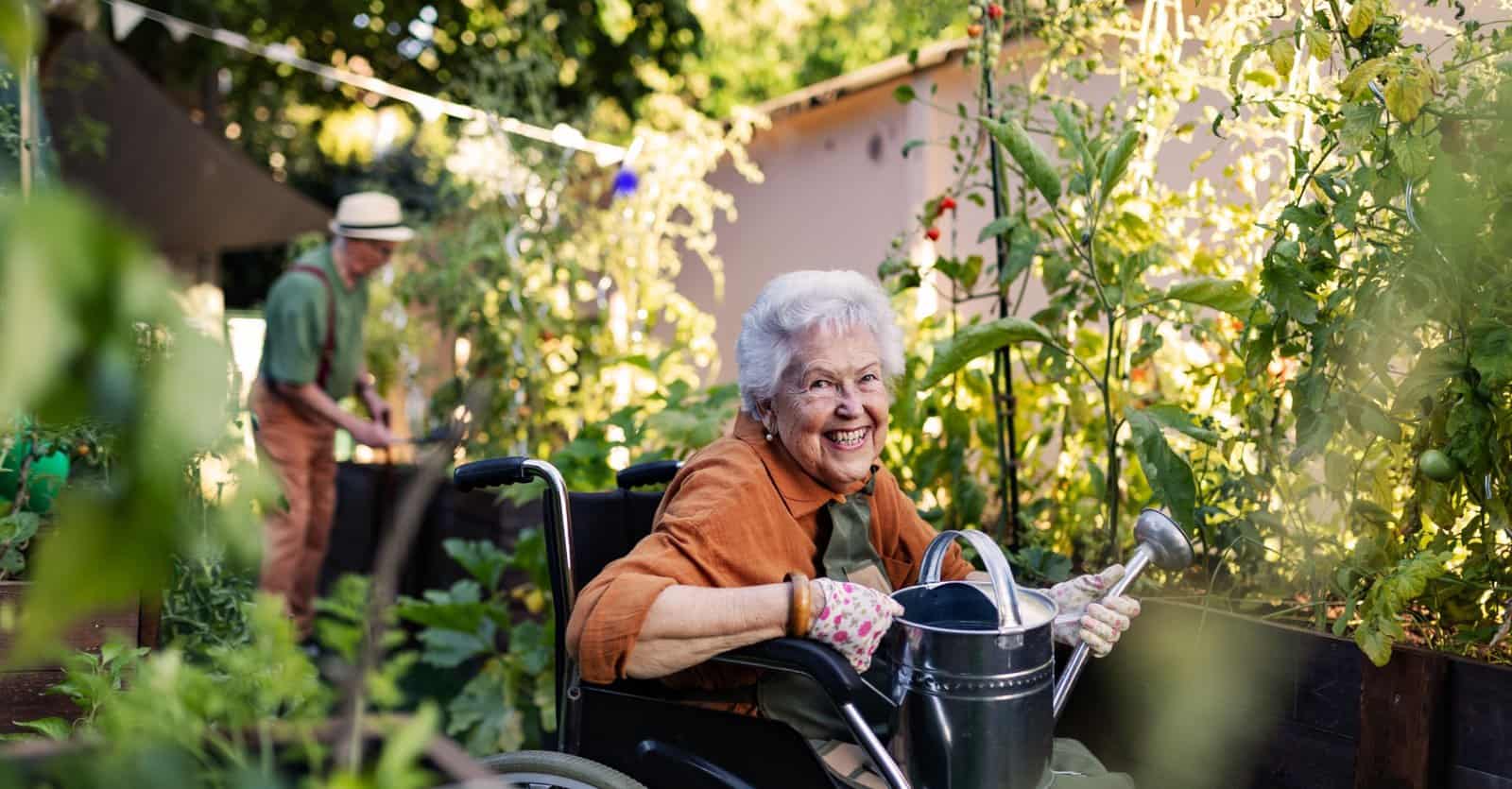 Promising Spring Why Spring Feels So Promising: The Science and Soul Behind the Season ...