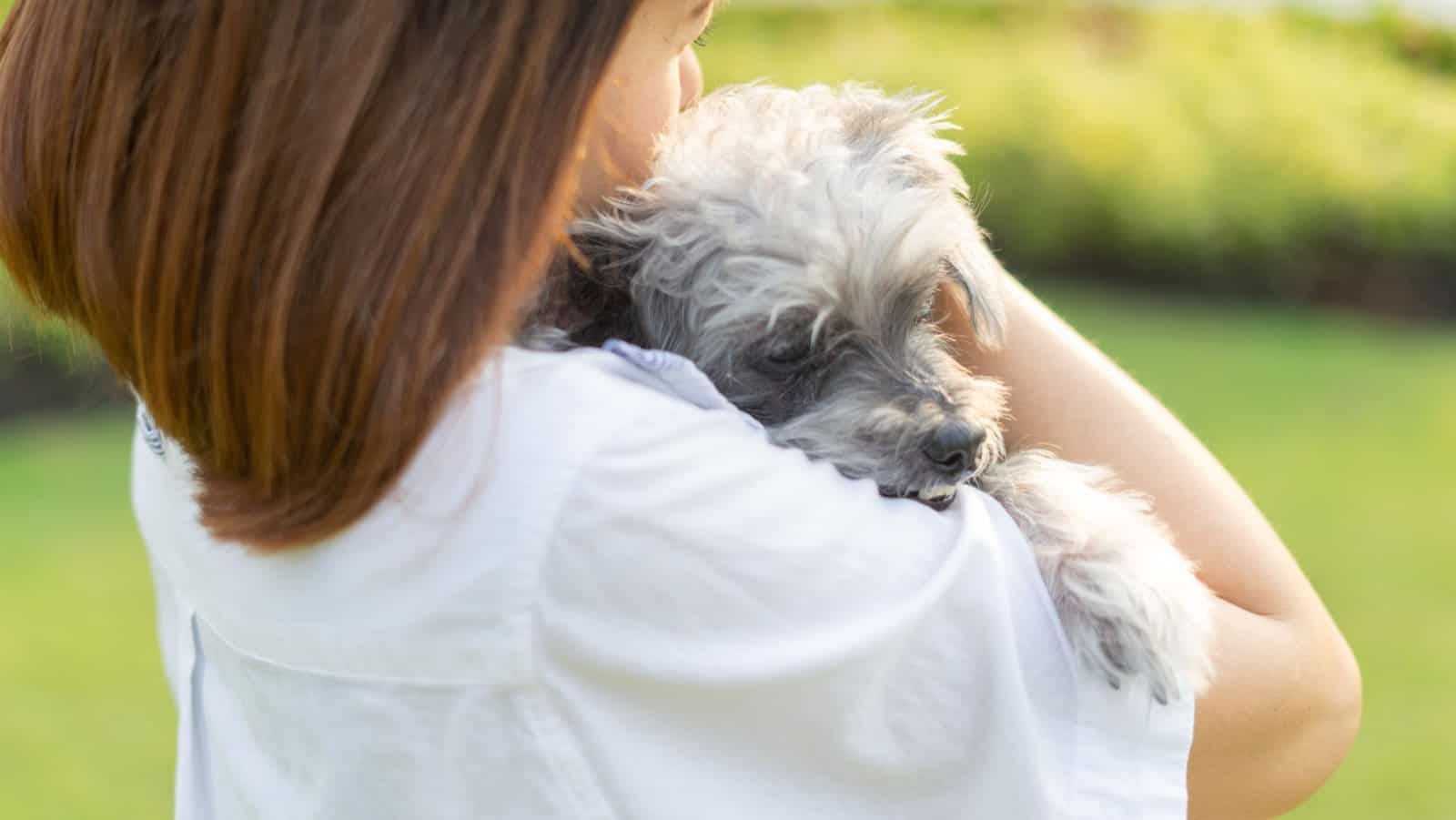 old dog with woman.