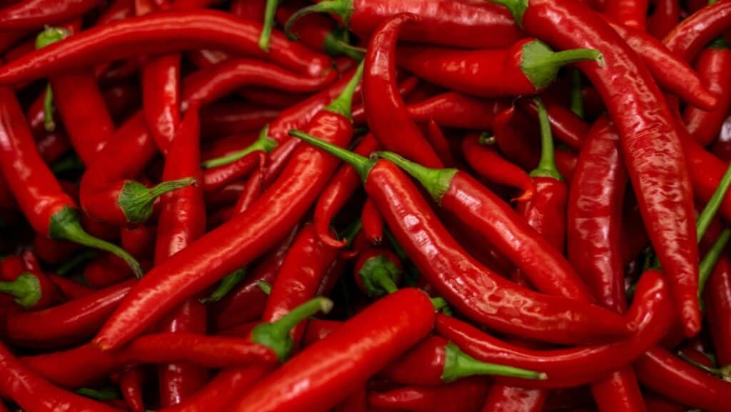 Chiles.