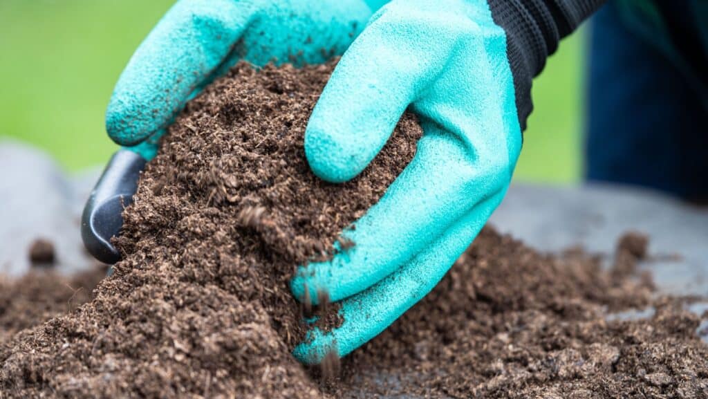 Potting soil. 
