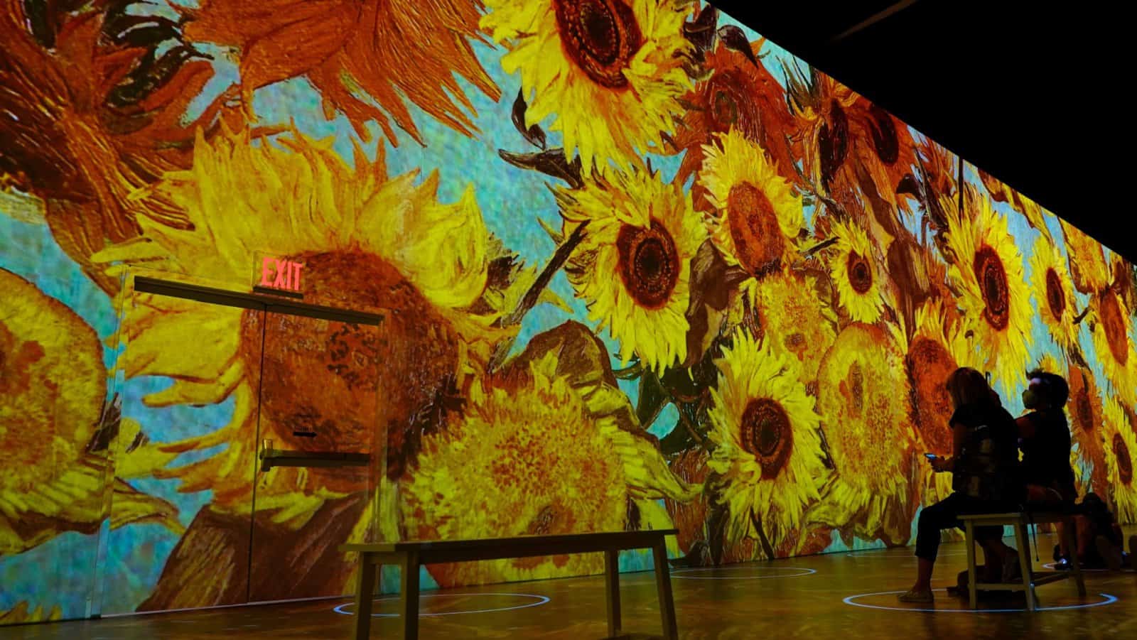 Van Gogh Experience.