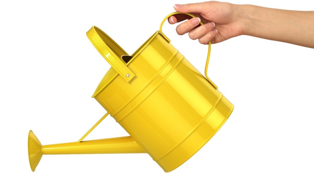 Watering can.