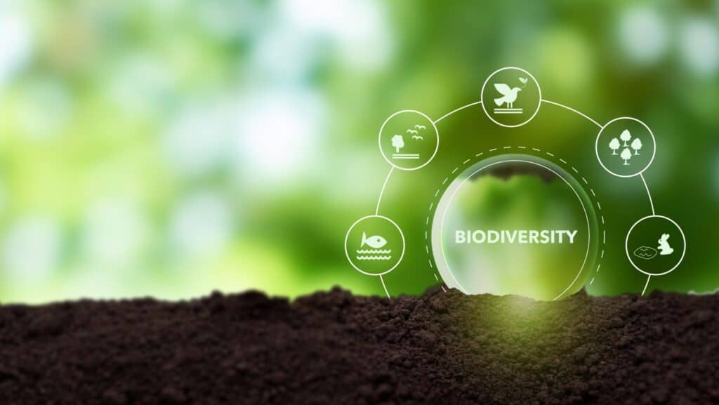 biodiversity.