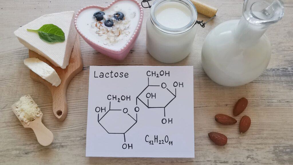 lactose. 