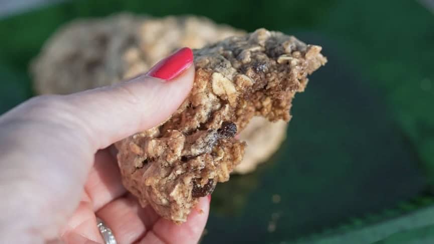 oatmeal-cookies-bite-out-copy.