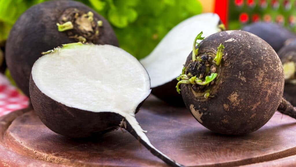 Black radish. 