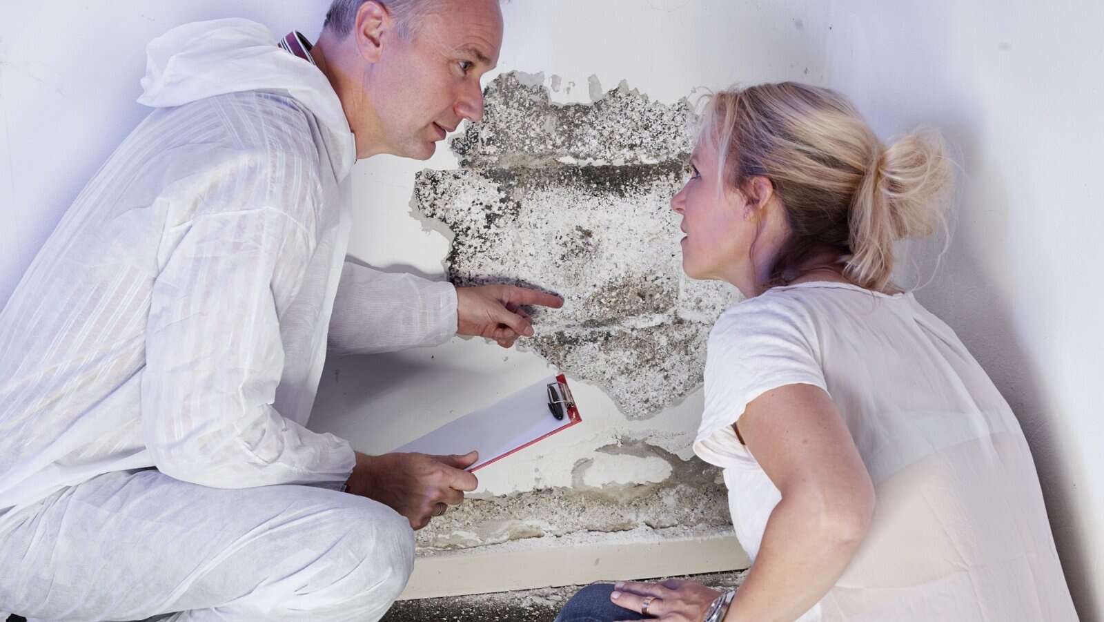 Mold.