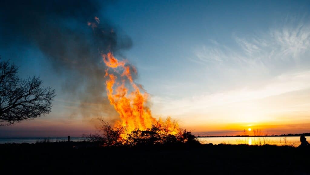Walpurgis.