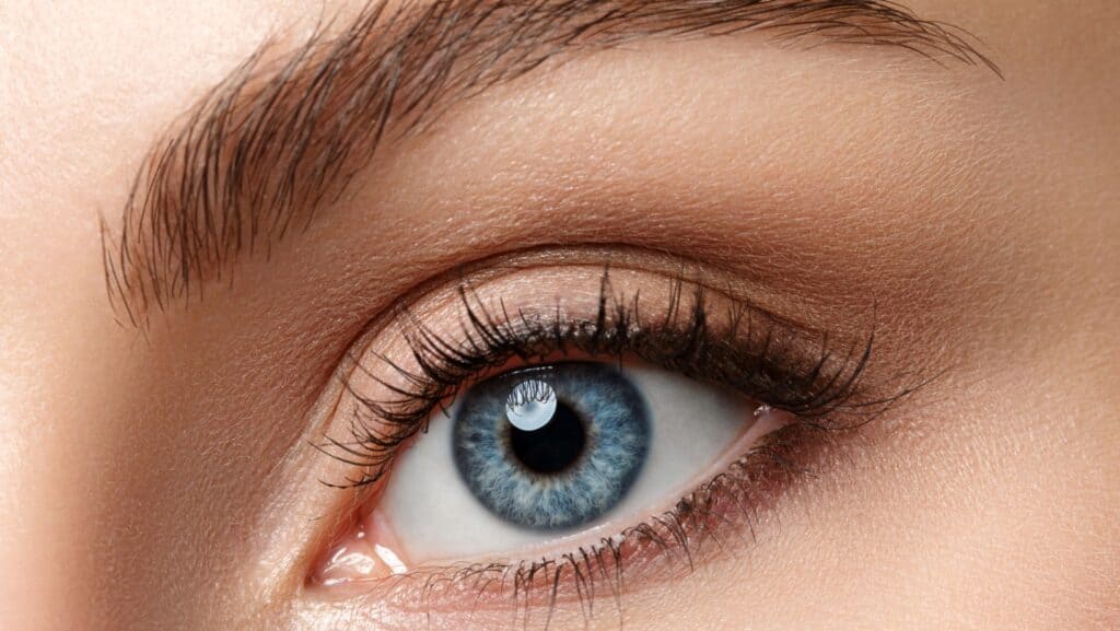 eyeliner. soft natural look.