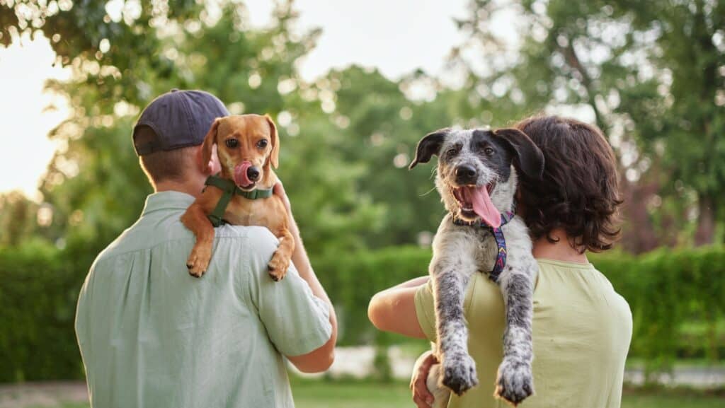 couple with dogs.