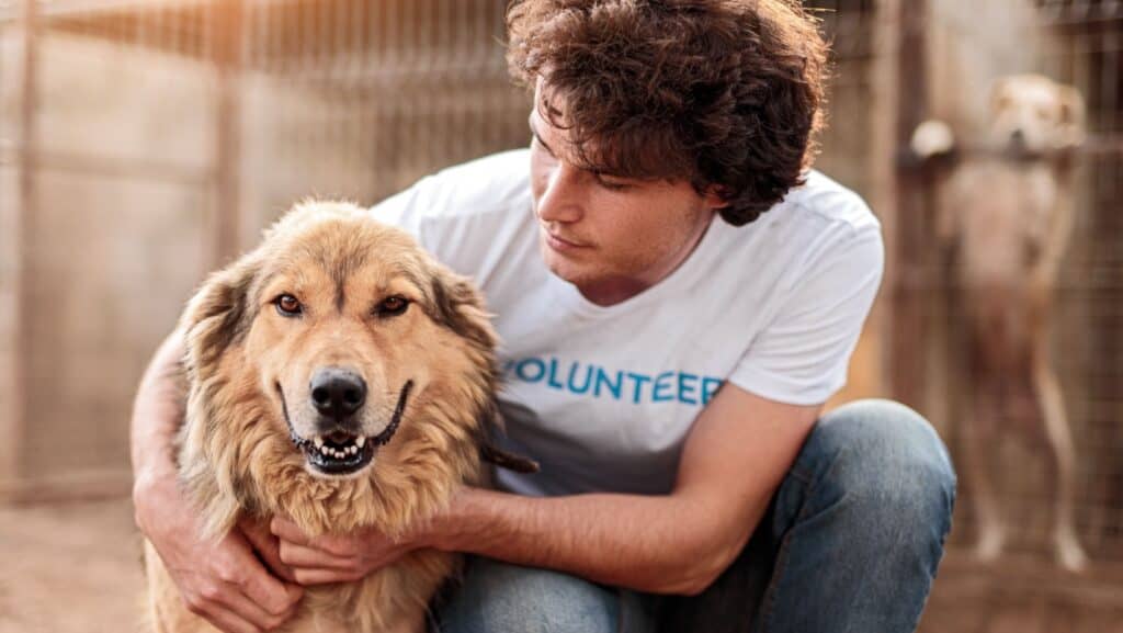 dog at shelter with man.