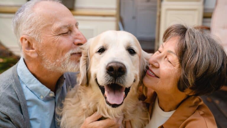 Dogs senior couple RV.