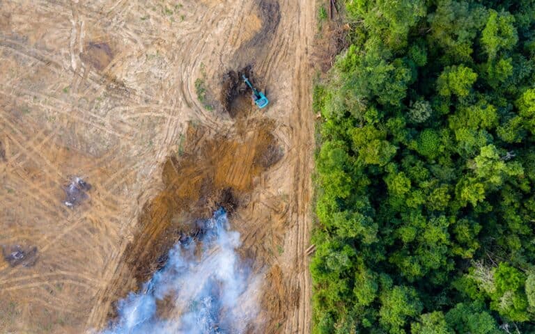 Aerial view of deforestation. Rainforest being removed to make way for palm oil and rubber plantations