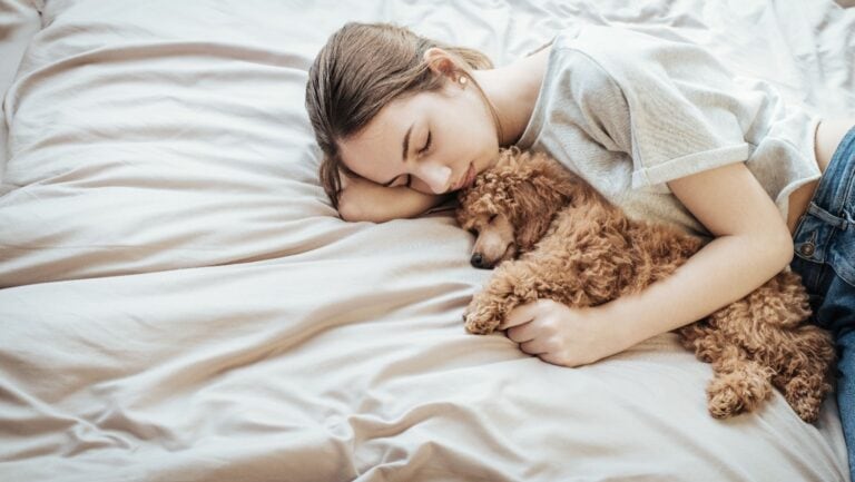 dog sleeping.
