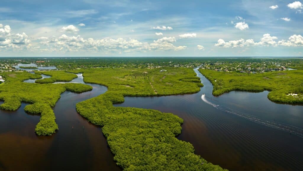 Everglades. 