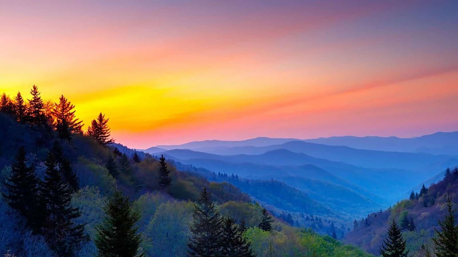 Great Smoky Mountain.