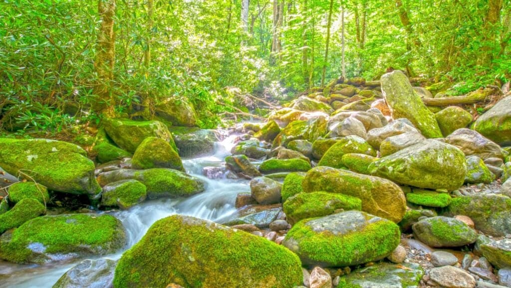 Great Smoky Moutains.