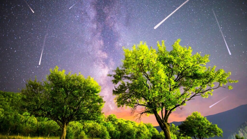 Perseid. 