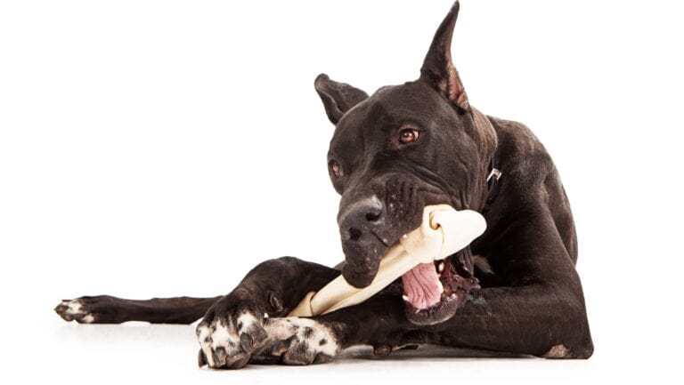 Rawhide. dog chew.