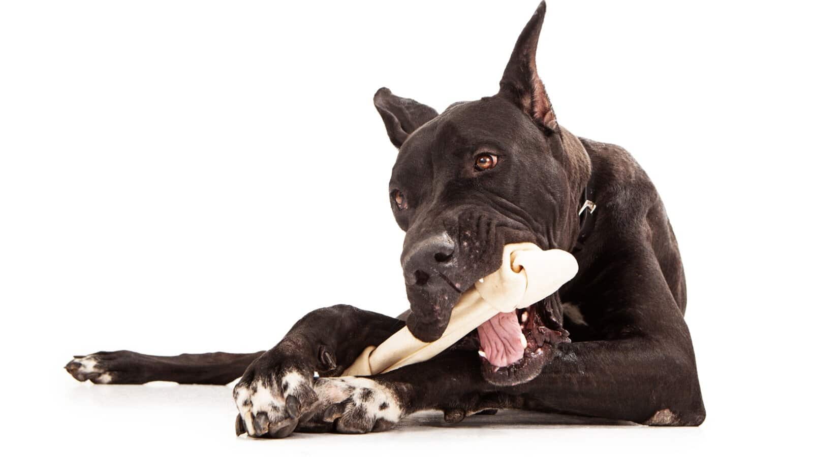 Rawhide. dog chew.