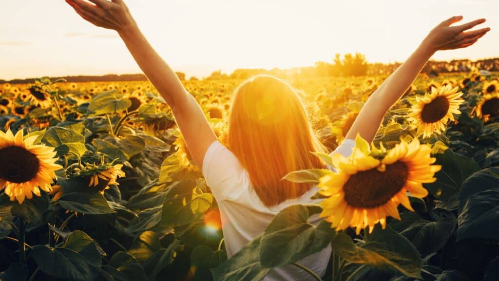 Sunflower field and woman.