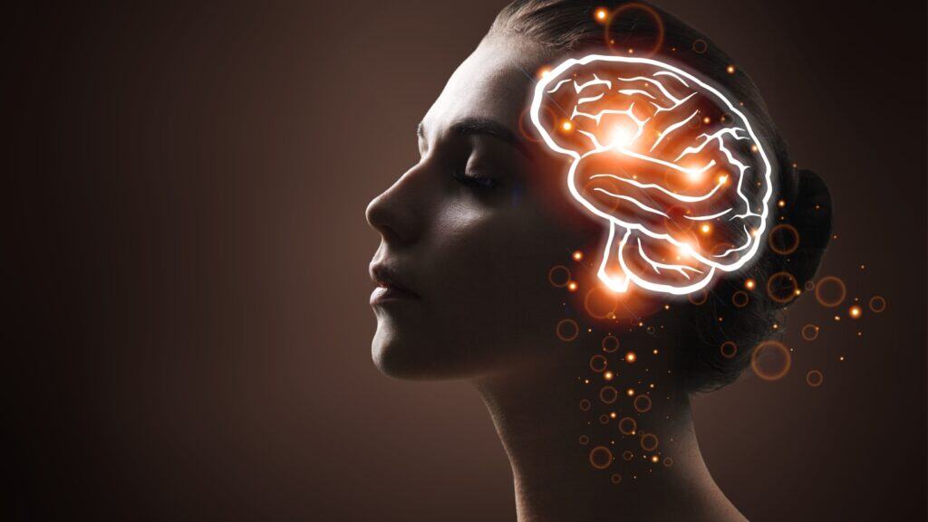 brain.
