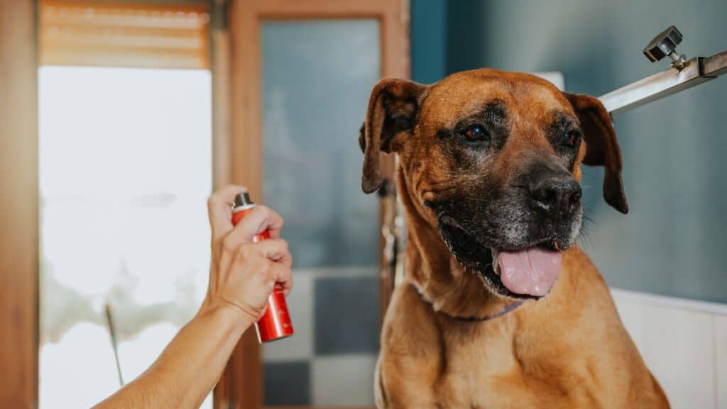 dog cologne.