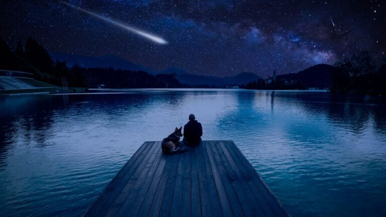 Man with dog looking at Perseid Meteor Shower at lake Bled